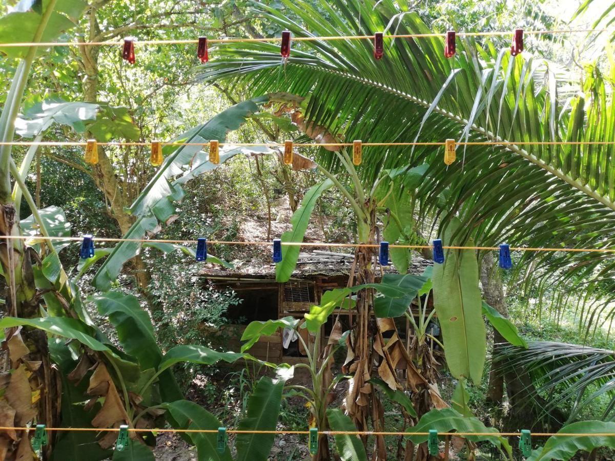Hotel Sea Breeze Garden Tangalle Exterior foto
