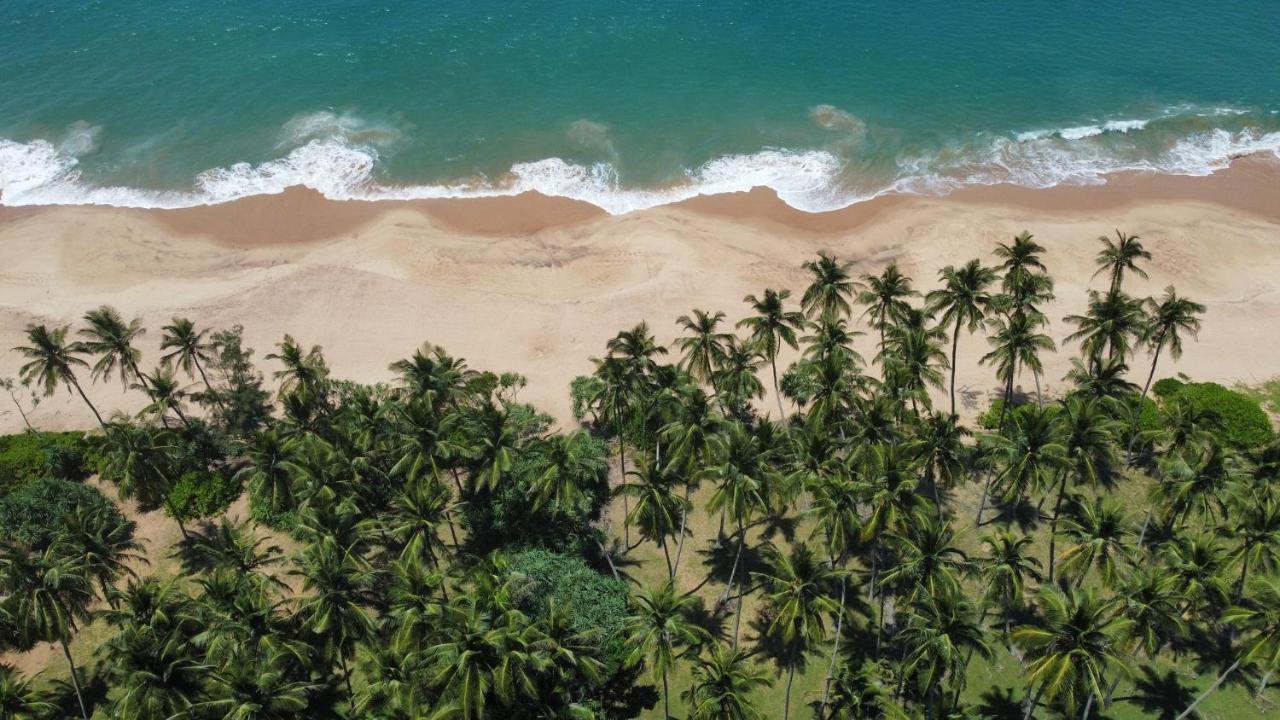 Hotel Sea Breeze Garden Tangalle Exterior foto
